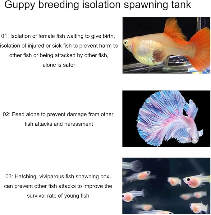 Aquariums Breeding Box Hatchery Shelter House for Guppy Bettafish Clownfishs with Divider Design Floating House 3PCS Bettafish Nursery Tanks