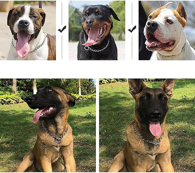 Chain Choke Collar for Dogs, Metal Slip Link Training Heavy Duty Dog Collar Martingale Puppy Collars for XXS XS Small Medium Large Big XL Breed Dogs (Silver, M(Neck Max 18inch) D3mm)