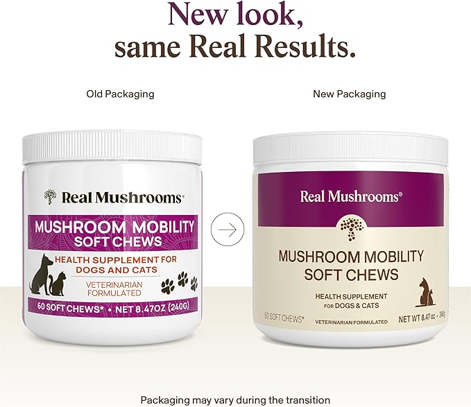 Real Mushrooms Mobility Chews for Dogs & Cats – Green Lipped Mussel & ErgoGold Mushroom Blend – Dogs & Cat Vitamins Treats for Active Routines – Joint, Hip & Flexibility Support – 240 ct Supplement