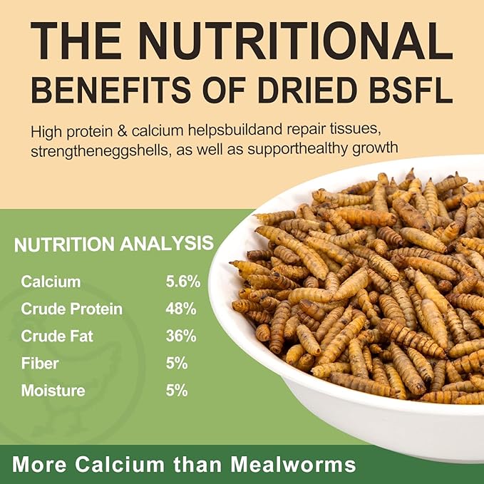 10LB Dried Black Soldier Fly Larvae for Chickens Treats Bulk, Non GMO BSF Larvae 85X More Calcium Than Dried Mealworms for Laying Hens, Chicken Worms for Wild Birds