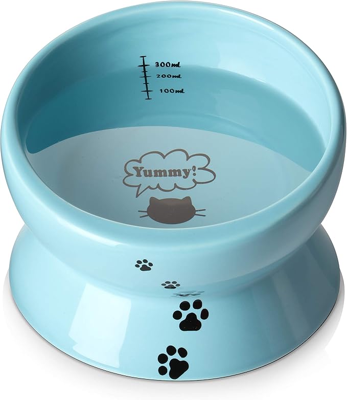 Y YHY Ceramic 15 Ounce Slanted Cat Food Water Bowl, Lake Blue