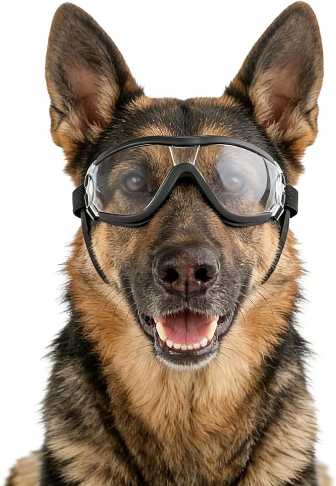 LESYPET Dog Goggles Medium Large Breed, UV Wind Dust Protection Medium Dog Sunglasses Eye Protection, Eye Wear Pet Glasses with Adjustable Strap for Outdoor Riding, Clear