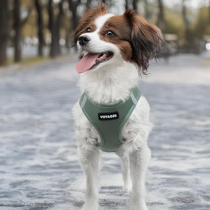 Best Pet Supplies Voyager Step-in Air Harness - All Weather Mesh, Reflective, No Pull Harness for Dogs, Cats - Secure with Hook & Loop Fastener, Buckle, Double D-Rings - Moss Green, XL