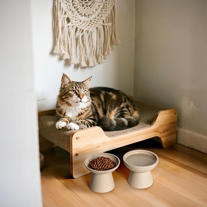2 Elevated Cat Bowls Extra Wide for Food & Water – Whisker Fatigue, Ceramic Wide Shallow Food Dish, Lead & Cadmium Free, Raised Height for Cats, Pottery Clay (Not Glazed)