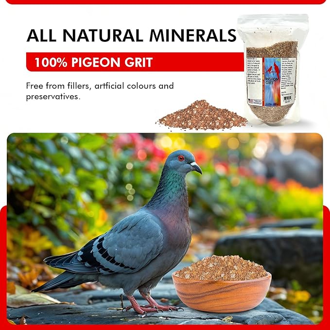 Morning Bird Pigeon Grit - Healthy & Nutritious Pigeon Food to Support Strong Muscles & Bones for Grit Eating Birds - Supports Digestion & Packed with Essential Minerals, 1.5 lbs
