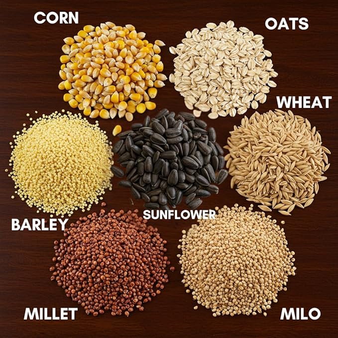 CZ Grain Premium Scratch Grains Bird Feed - Corn, Sunflowers, Wheat, Oats, Barley, Milo and Millet - Well Balanced Mix for Great Nutrition for Chickens and Ducks (8 Ounces)
