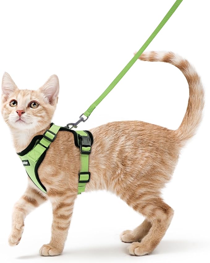 rabbitgoo Cat Harness and Leash for Walking, Escape Proof Soft Adjustable Vest Harnesses for Cats, Easy Control Breathable Reflective Strips Jacket, Light Green, S