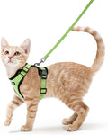 rabbitgoo Cat Harness and Leash for Walking, Escape Proof Soft Adjustable Vest Harnesses for Cats, Easy Control Breathable Reflective Strips Jacket, Light Green, XS