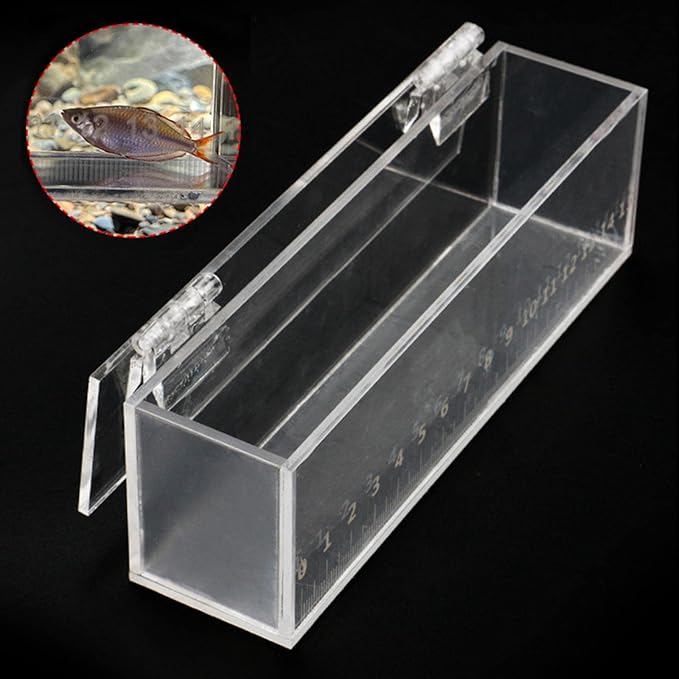 Fishing Fish Viewing Box Acrylic with Lid Mini Aquarium Outdoor Indoor Small Portable Safe Fish Breeder Hatching Boxes with Scale