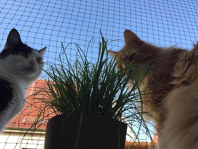 Cat Netting Balcony, Anti-Fall Mesh Fence, Black Composite Nylon, Cat Protection Net