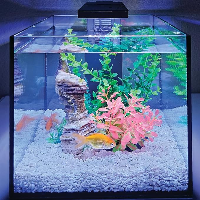 Level One Pets 3 Gallon Mini Betta, Small Fish Aquarium Kit - Includes Duo 2 in 1 Submersible Filter with LED Light