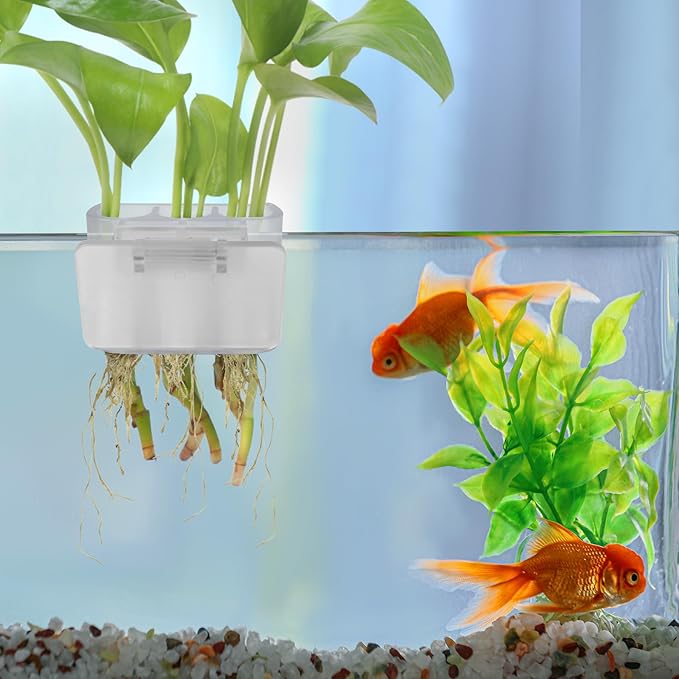 3 Holes Upgraded Aquatic Plant Cup Aquarium Plant Holder for Tank,Aquascape Accessories Decorations- White 4 Pcs