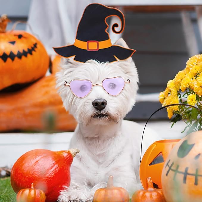 Konohan 8 Pcs Heart Dog Cat Sunglasses Metal Small Pet Sunglasses Funny Puppy Cosplay Glasses Cosplay Party Costume Photo Props