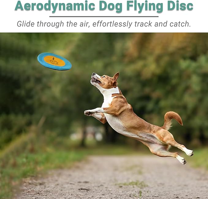 3 Packs Nylon Interactive Dog Flying Disc - Floating Dog Toys for Aggressive chewers - Water Toys for Dogs