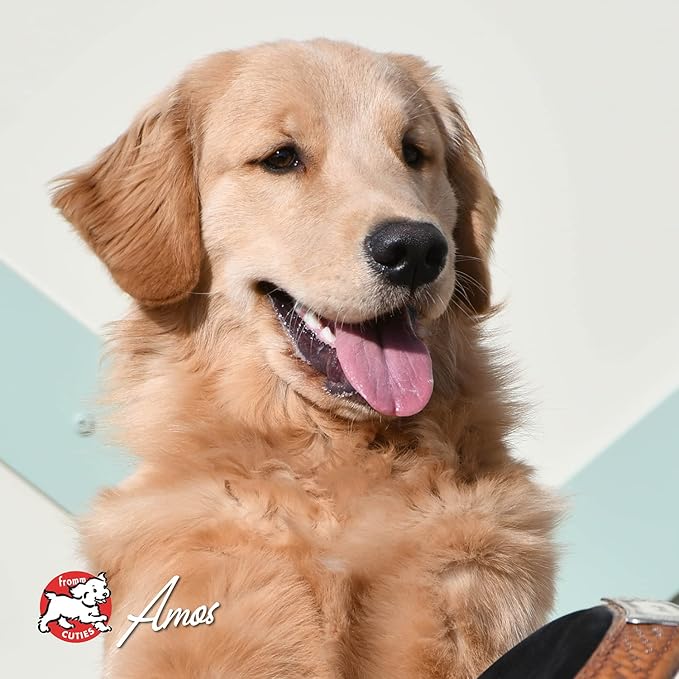 Fromm Four-Star Nutritionals Surf & Turf Dog Food - Premium Dry Dog Food - Salmon Recipe - 26 lb