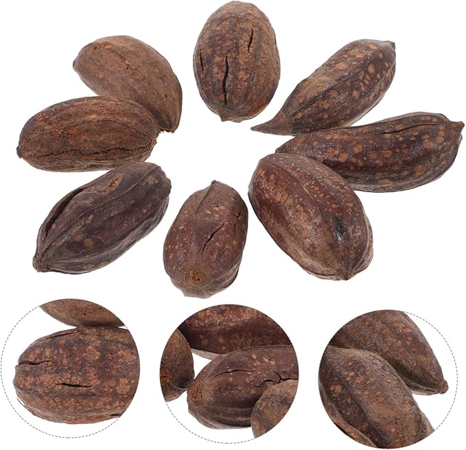 8pcs Natural Dried Fruit Parrot Chew for Birds Parakeet Cockatiel Foraging and Biting Healthy Mental Stimulation Bird Play