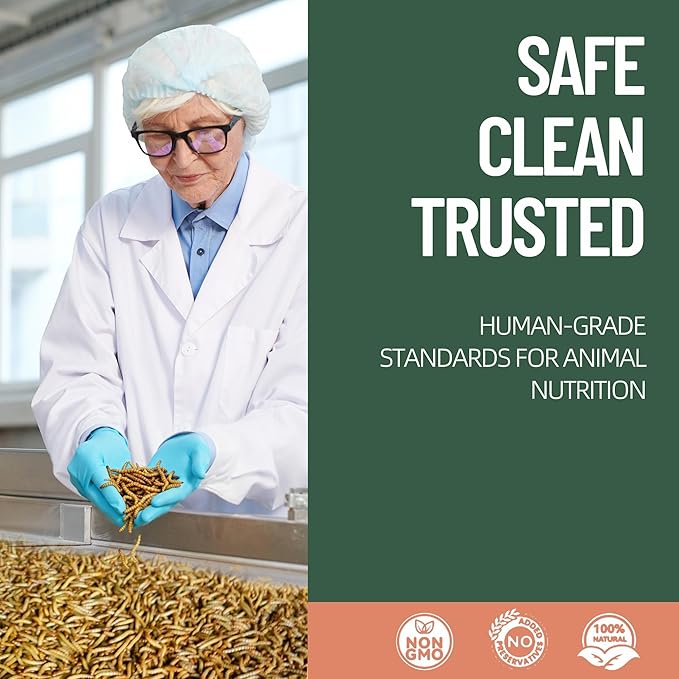 5LB Non-GMO Dried Mealworms - High Protein Natural Feed & Chicken Treats for Chickens, Ducks, Wild Birds, Quails & Reptiles - Support Egg Production & Feather Growth