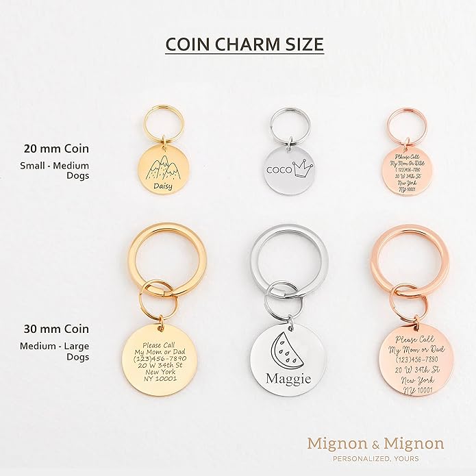 MignonandMignon Personalized Dogs Cats ID Tags Pet Collar Coin Charm Lovely Symbols Dog Name Collar Accessories Father's Day Gift Custom Engraved Products for Extra Small Dog Anti-Lost Pet -AID-C-S