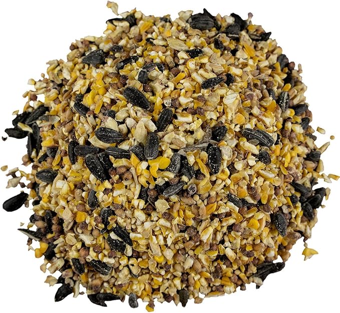 Classic Bird Seed (18 Pounds, Everyday Economy)