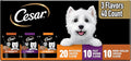 Cesar Filets in Gravy Wet Dog Food Rotisserie Chicken Flavor, Filet Mignon Flavor, and Wood-Grilled Chicken Variety Pack, Wet Food for Dogs, 1.76 oz. Mini-Pouches, 40 Count