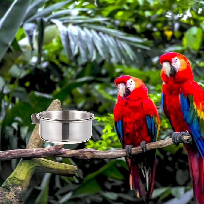 Yardwe Parrot Feeding Cups, 6pcs Stainless Steel Bird Feeder with Clamp, Bird Cage Accessory Food Dish for Cockatiel Conure Budgies Parakeet Parrot Macaw Small Animal Chinchilla