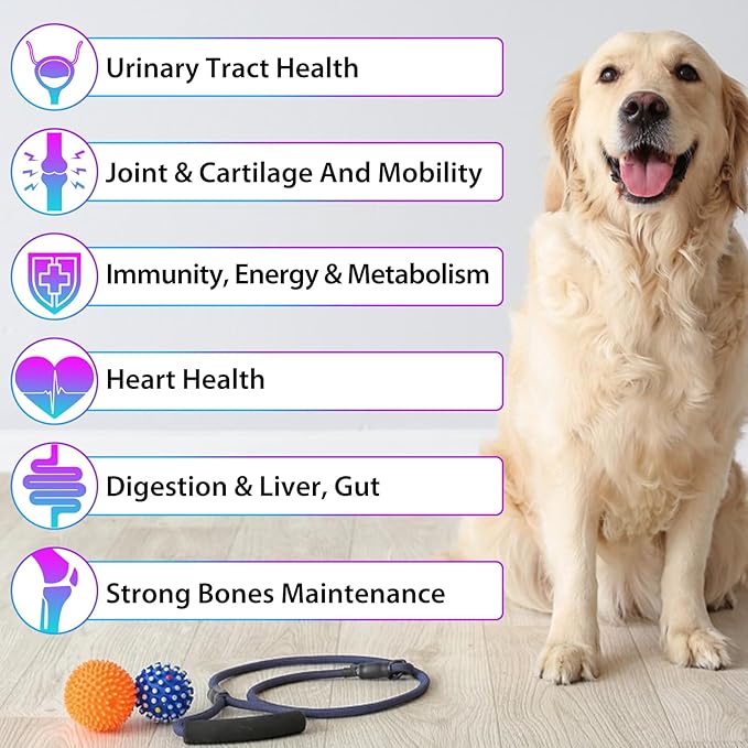 Dog Multivitamin Liquid Drops - 15 in 1 with Glucosamine, MSM & Cranberry, Supports Joint, Skin & Coat, Immune, Heart & Urinary Health, 2 fl oz