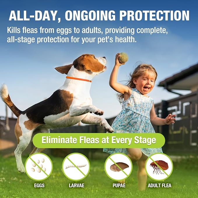 EcoVenger Flea Collars for Dogs & Cats - Flea & Tick Repellent 2-Pack Orange. Built-in Pant-Based Formula Strong Repellency Slow Release, Lasting Protection, Pleasant Aroma, Waterproof