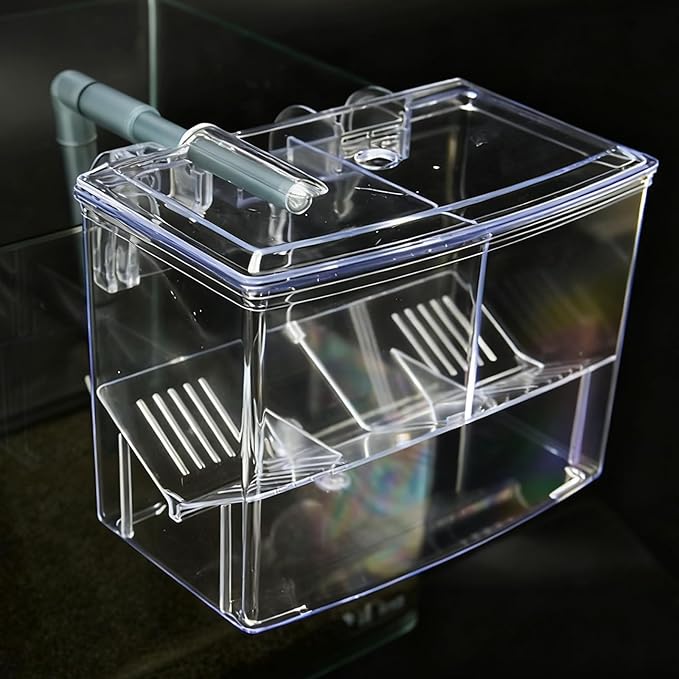 External Breeding Tanks for Aquarium Small Fish Isolation Hatchery Box for Fry Clear Spawning Box Breeding