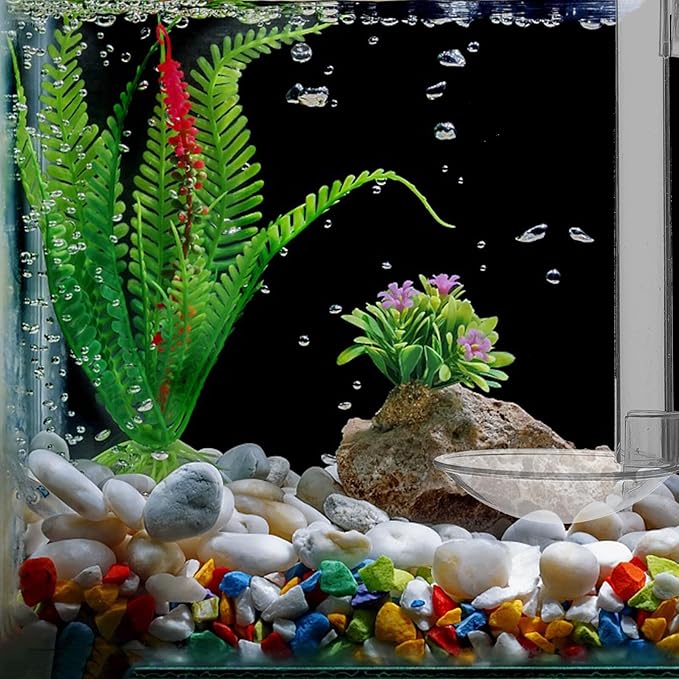 Aquarium Fish Feeder Tube with Acrylic Container, 15cm Wall-Mounted Shrimp Feeding Kit with Floating Ring and Cleaning Brush for Tank and Betta Supplies