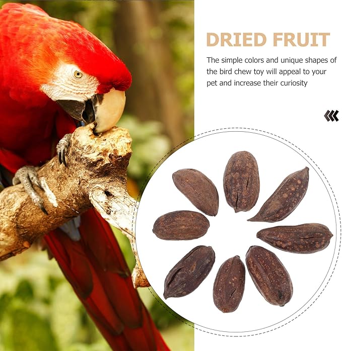8pcs Natural Dried Fruit Parrot Chew for Budgie and Parakeet Foraging Accessories with Unique Shapes to Promote Healthy Beak and Mental Stimulation