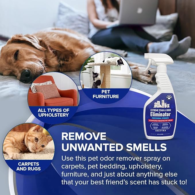 Stain & Odor Remover For Strong Odor – Enzyme Pet Odor Eliminator For Home Use. Powerful Carpet Stain Remover That Tackles Cat And Dog Pee,. This Enzymatic Cat Urine Destroyer Works Deep To Clean