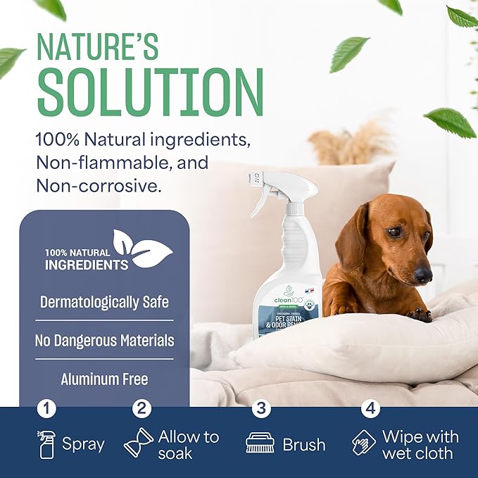 Dog Bed Deodorizer Spray Cleaner - Pet Urine Odor Remover & Stain Eliminator | 100% Natural No Enzymes Pet Stain, Dog Urine, Cat Urine Carpet Cleaner | Poop Smell & Pee Odor Eliminator
