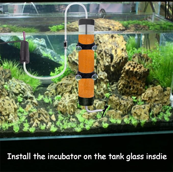 Brine Shrimp Hatchery Kit - Artemia Eggs Incubator