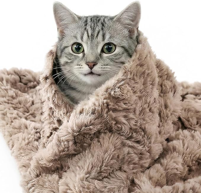Cat Blanket for Indoor Cats Ultra-Soft Plush Small Blanket Machine Washable Cozy Calming for Kittens Cats Bed Couch Car 21"x18" Coffee