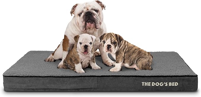 The Dog’s Bed Orthopedic Memory Foam Dog Bed Mattress, Plush Fabric, Grey Plush, XL, 4-Inch