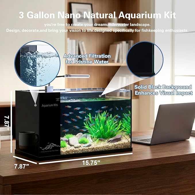 Fish Tank Kit,3 Gallon Small Aquarium,Ultra-Clear Nano Aquarium,Betta Fish Tank,Suitable for Small Fish Tank,Aquarium Starter kit,Desktop Fish Tank (Black Background)