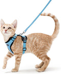 rabbitgoo Cat Harness and Leash for Walking, Escape Proof Soft Adjustable Vest Harnesses for Cats, Easy Control Breathable Reflective Strips Jacket, Light Blue, S