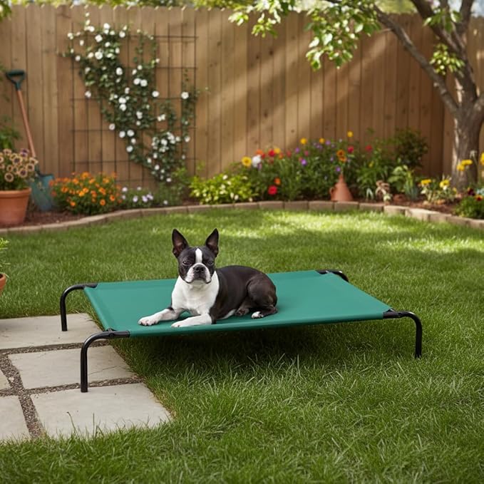 Amazon Basics Cooling Breathable Elevated Dog Bed with Metal Frame for Large Dogs, 51 x 31 x 8 Inch, Green