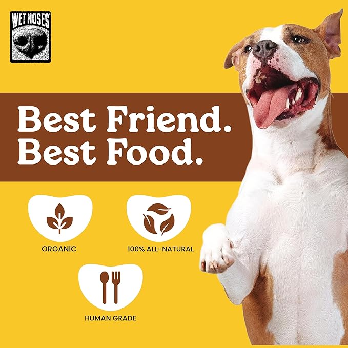 Wet Noses Organic Crunchy Dog Treats Grain Free – All-Natural, Human-Grade, Non-GMO, Healthy Training & Delicious Snacks for Dogs, All Dog Sizes & Breeds – Peanut Butter & Banana, 14oz (Single Pack)