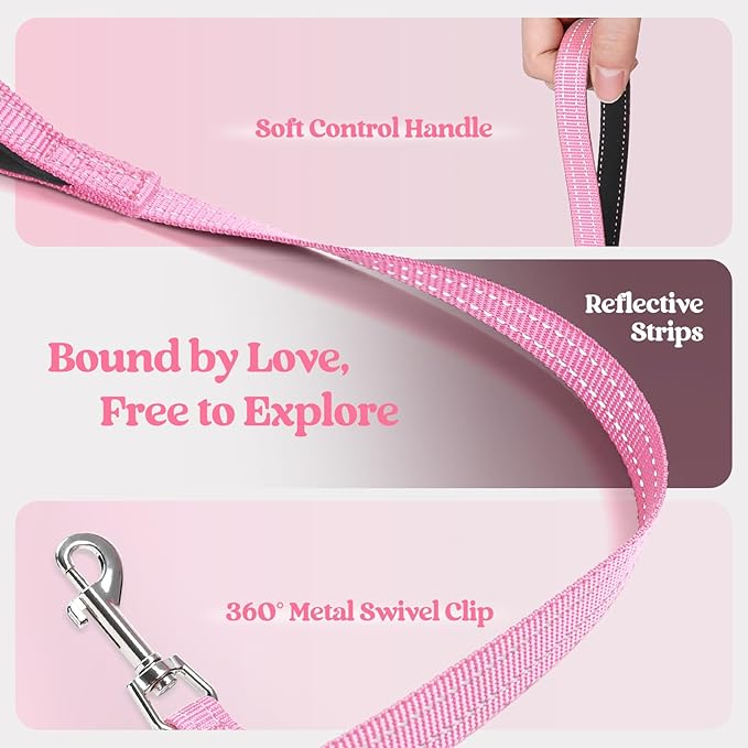 rabbitgoo Dog Harness Medium Sized and Leash Set, Step in Soft Light Puppy Vest, Breathable Mesh Pet Harness, Reflective for Safe Easy Walking, Light Pink XXL
