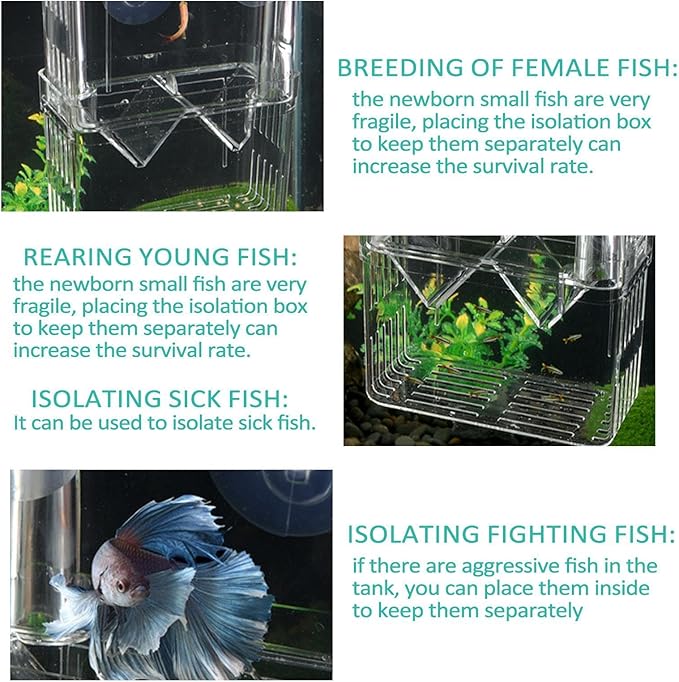 1/2 Fish Breeding Box - Aquarium Breeder Box, Fish Acclimation Box with 2 Suction Cups | Easily Install Fish Isolation Box, Acrylic Aquarium Hatchery Incubator for Baby Fishes Shrimp Betta Guppy
