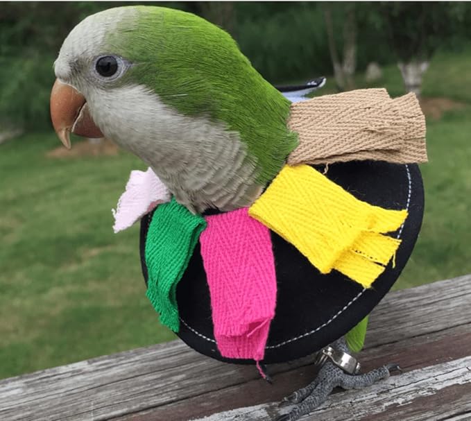 Adjustable Bird Collar Anti Bite Elizabethan Recovery Cone, Bird Neck Protector for Feather Plucking, Skin-Friendly Bird Black B3 B3