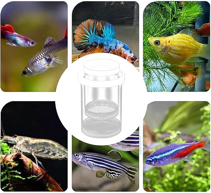 3 Pack Floating Fish Isolation Box for Aquarium Tank, Floating Breeder Hatching Box Clear Hatchery Incubator for Baby Fish Betta Guppy Clownfishes