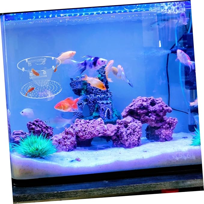BESPORTBLE Fish Breeding Box Isolation Tank Hatchery Aquarium Accessory for Fry and Pregnant Fish Viewing Divider