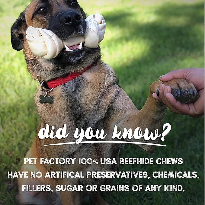 Pet Factory 7in Braided Beefhide Dog Chew Sticks with Peanut Butter Flavor - 100% USA Made Rawhide Chews for Medium Dogs, Long Lasting Dental Health, 7 inches (), 6 Count (Pack of 2)