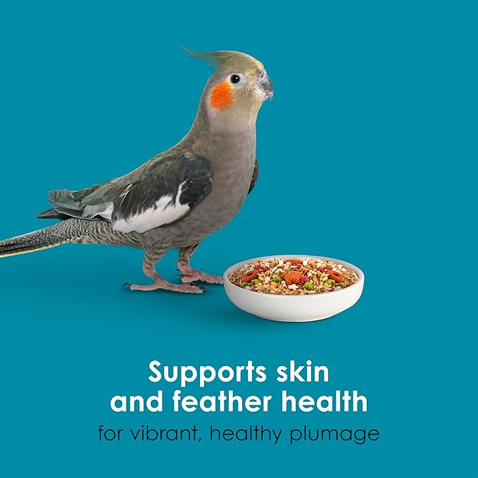 Kaytee Forti-Diet Pro Health+Safflower Nourish+Protect Cockatiel Food, Supports Breeding and Molting, Nutrition Backed by Science, Digestive and Brain Health, 4 pounds