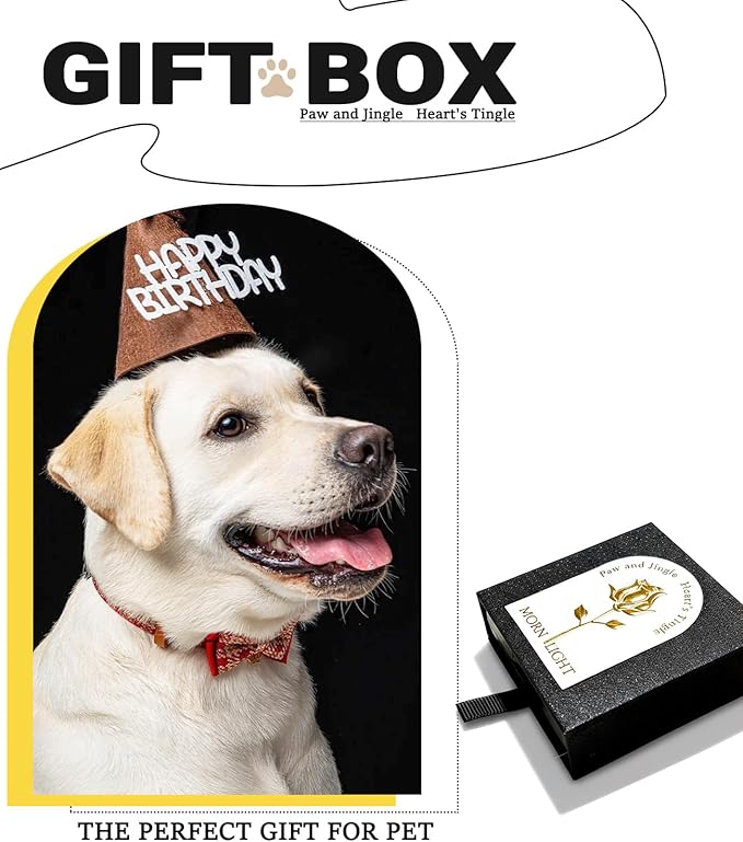 Dog Bells for Collar - 2 Pack Gold Plated Brass Dog & Cat Bells with Engraved Protective Charm, Quick Clasp for Anti-Lost Tracking, Gift for Small & Medium Pet Lovers (Gold,S+M)