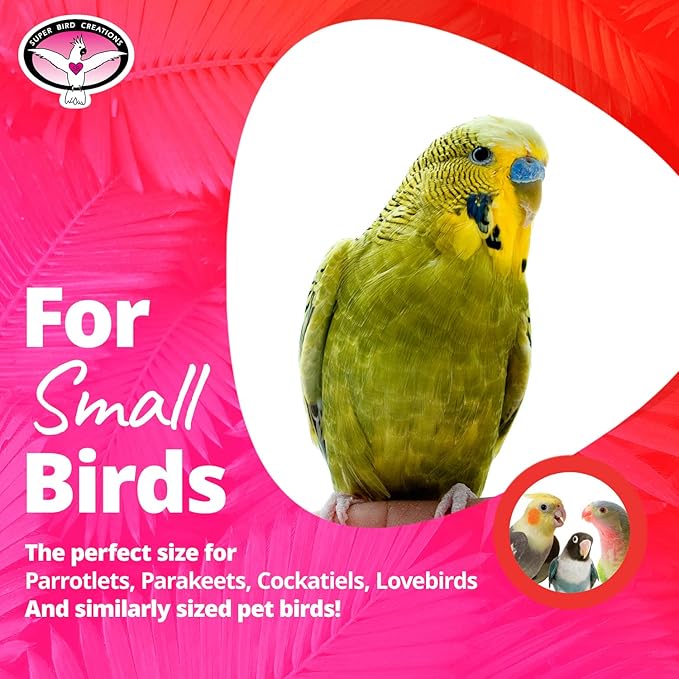 Super Bird Creations SB50012 Balsa Lovers Bird Toy Assortment - Stimulating Wooden Bird Toys for Parrotlets, Parakeets, Cockatiels - Colorful Variety Pack for Small Birds - Satisfies Chewing Behavior