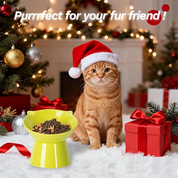Detachable Elevated Cat Bowls, 15° Tilted Raised Cat Food Bowl Anti-Vomiting,Whisker Friendly, Adjustable Pet Dishes for Protecting Spine, cat Bowls for Indoor Cats Adult Kitten