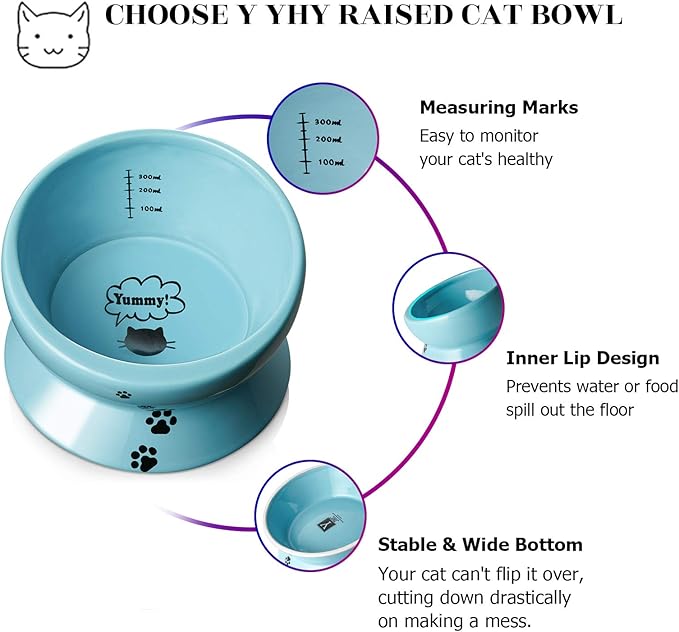 Y YHY Ceramic 15 Ounce Slanted Cat Food Water Bowl, Lake Blue